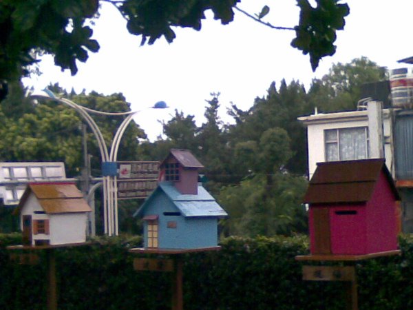 20100217(015).jpg
