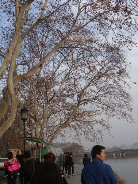 氣球.jpg
