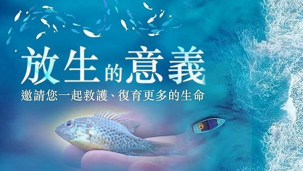 放生感應｜放生與點燈｜轉化災劫方法最快的兩個方法