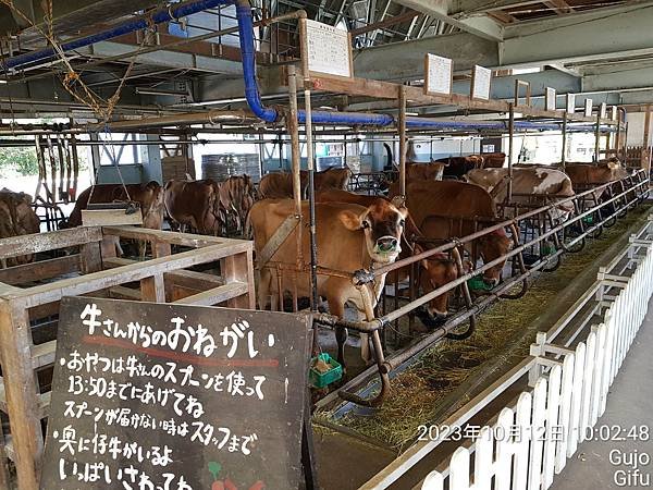 日本北陸－立山黑部.兼六園.合掌村.仙境上高地.威士忌酒.招