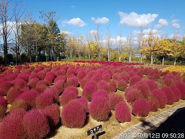 日本北陸－立山黑部.兼六園.合掌村.仙境上高地.威士忌酒.招