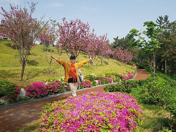 2024 釜山之旅(五天四夜)