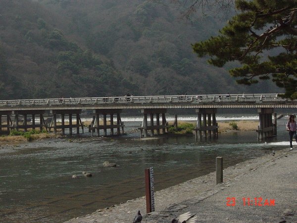 遠觀的渡月橋.JPG