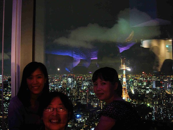 0915-288酷斯拉大鬧東京.JPG