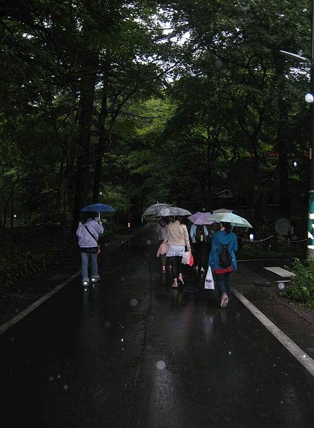 IMG_5110雨中趕路回輕井澤車站和民宿老闆碰頭...走著走著進入一片森林....天,也慢慢黑了.JPG