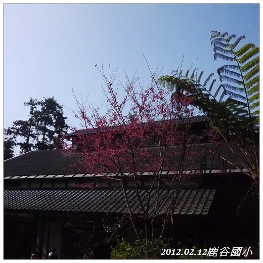 P1010971.jpg