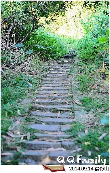 DSC_0894.jpg