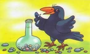 images (5)
