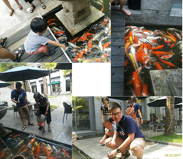 餵魚真好玩.png