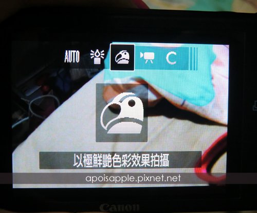 CIMG9866.JPG