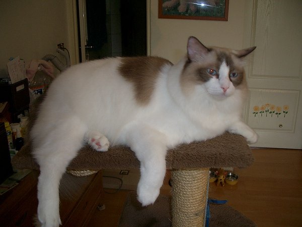 CIMG0025.JPG