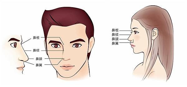 隆鼻手術需分別處理山根、鼻樑、鼻頭、和鼻翼的問題
