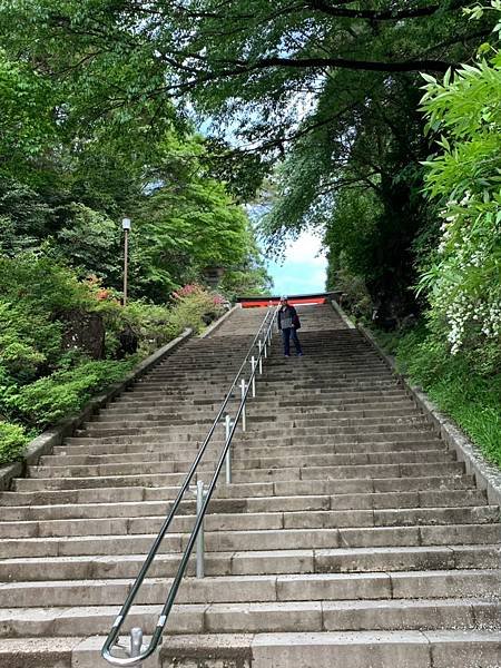 20190510霧島神社_201106_3.jpg