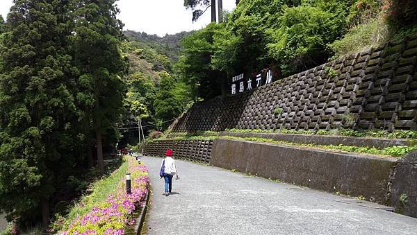 20190510霧島神社_201106_30.jpg