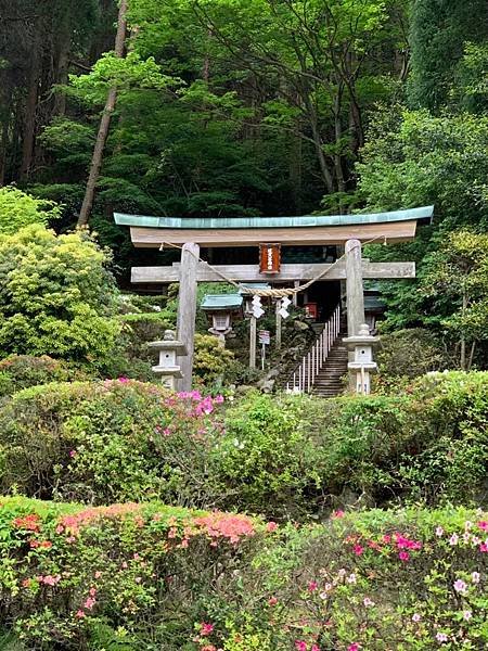 20190510霧島神社_201106_10.jpg