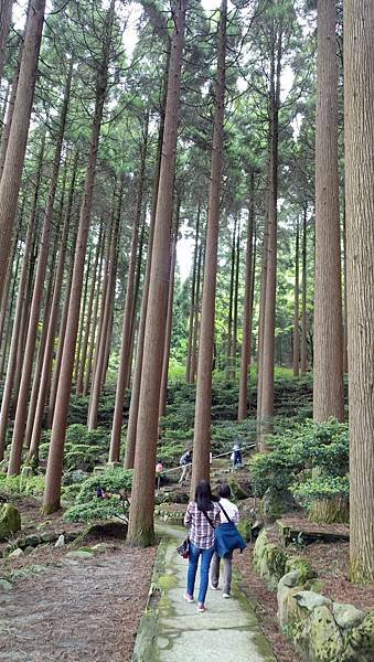 20190510霧島神社_201106_25.jpg