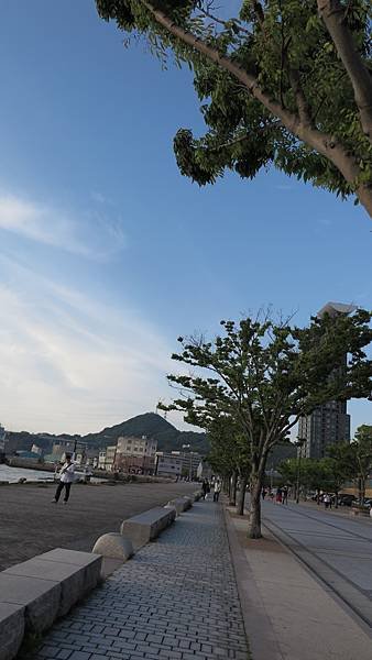 IMG_1618.jpg