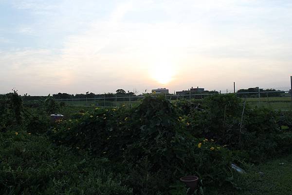 IMG_9952.JPG
