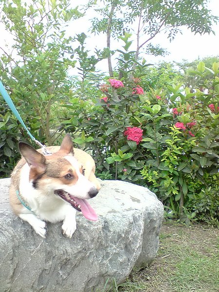 P050610_09.15.jpg