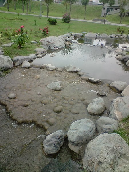 P050610_09.11.jpg