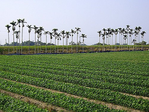 555080315_m.jpg