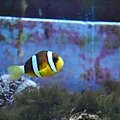 DSC_0537.JPG