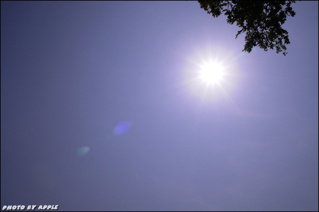 DSC_0019