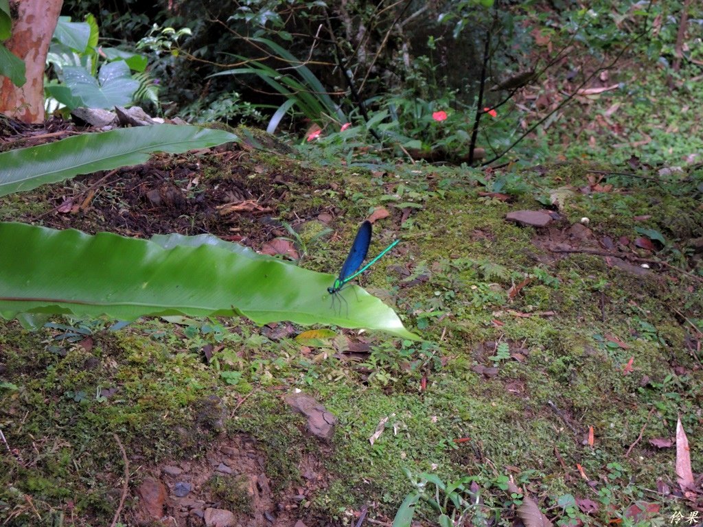 DSCN0822.JPG