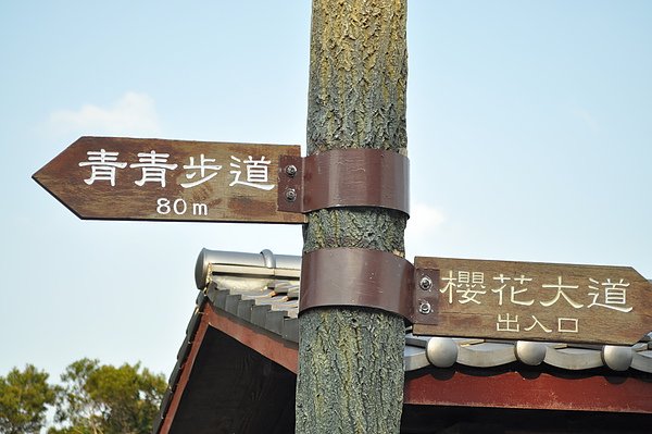 DSC_0805.JPG