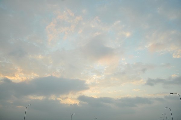 DSC_0221.JPG