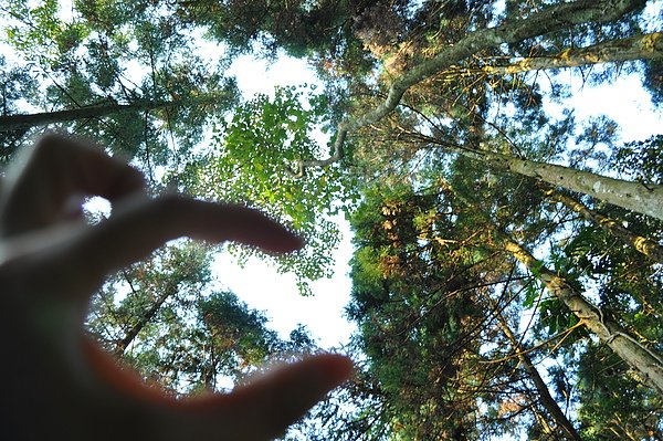 DSC_0386.JPG