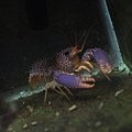 DSC_0533.JPG