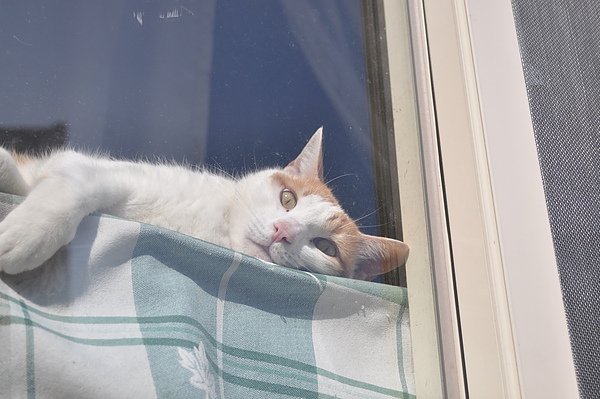 DSC_0604.JPG