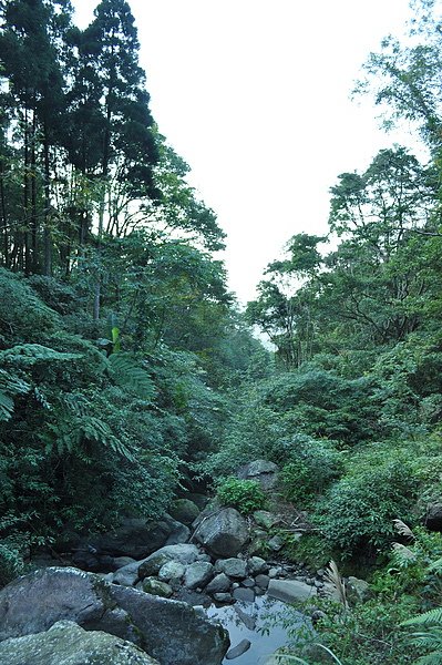 DSC_0371.JPG