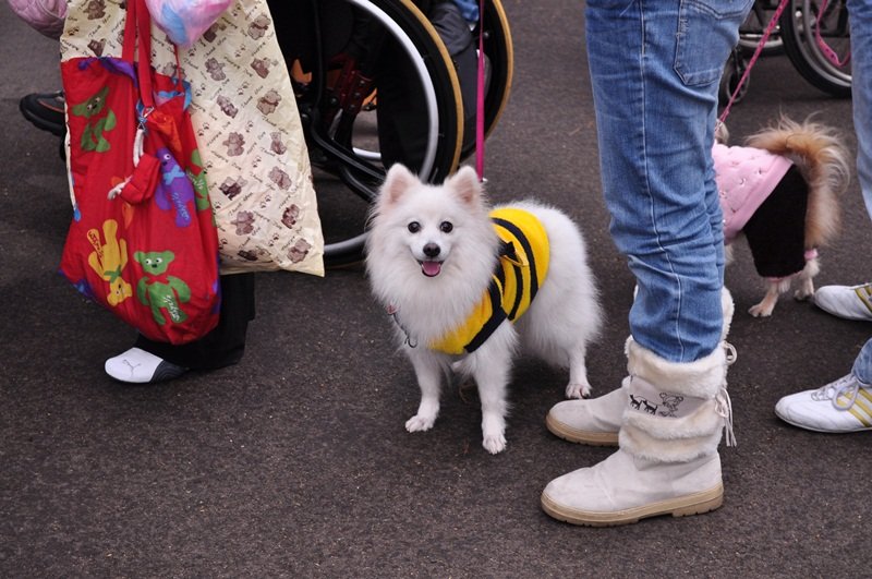 DSC_0110.JPG