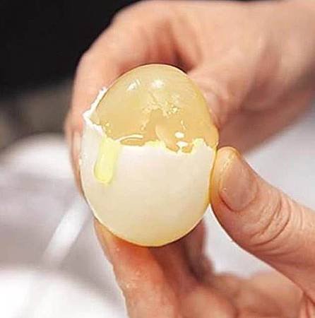 egg6