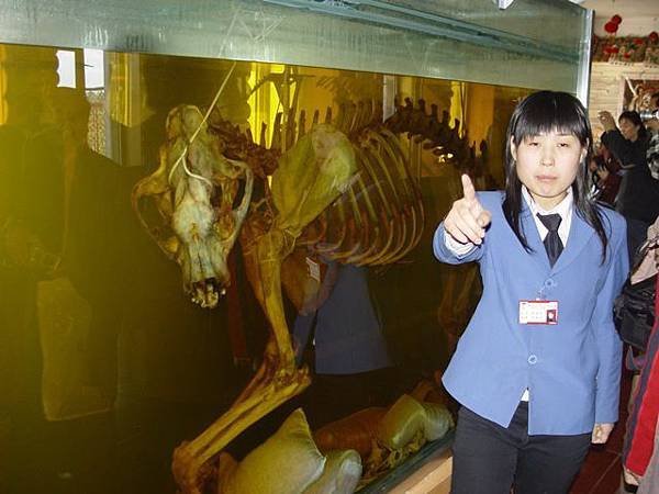 harbin_tiger_bone_wine