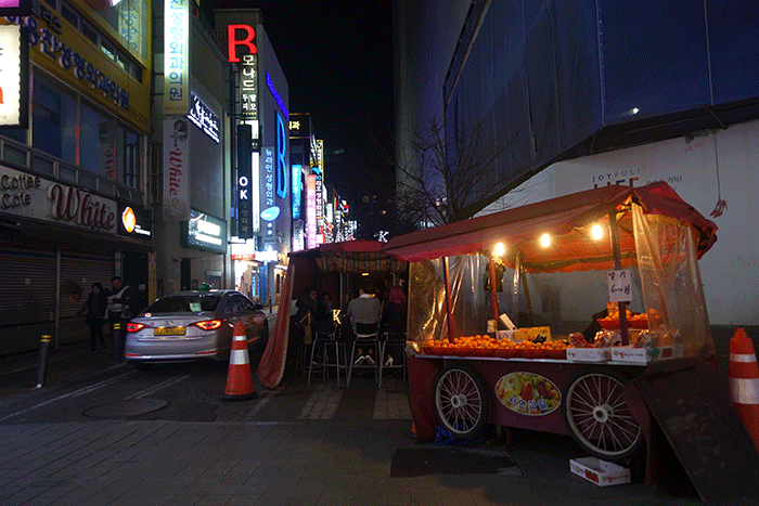 DSC03695.gif