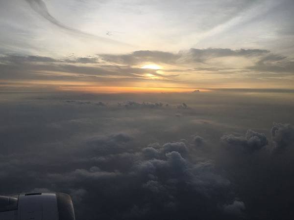 IMG_9005.JPG