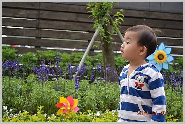 DSC_2349(001).jpg