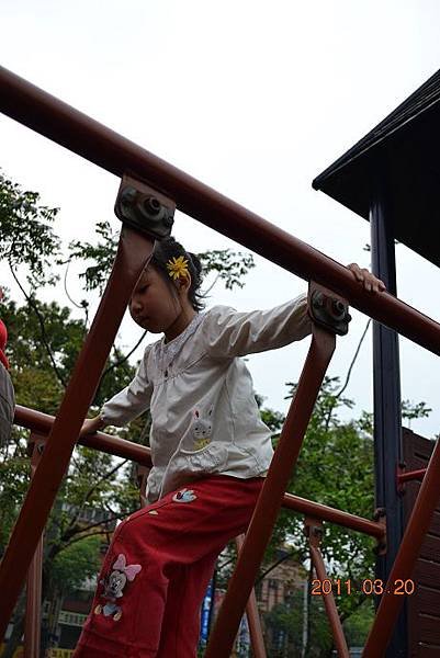 DSC_2317.jpg