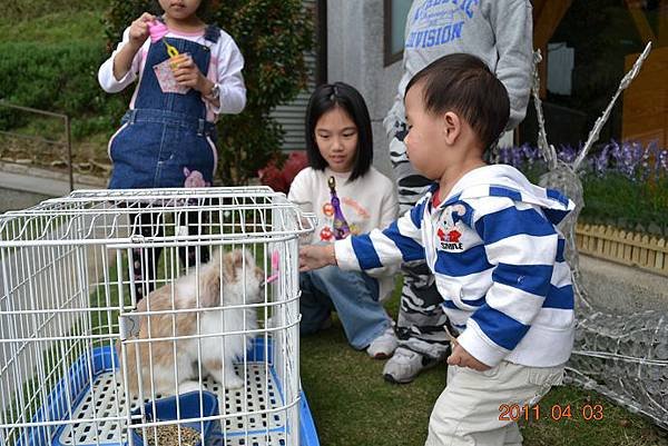 DSC_2305(001).jpg