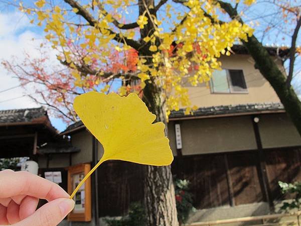 【2015。關西】Day2京都(上)清水寺+二年坂三年坂+八