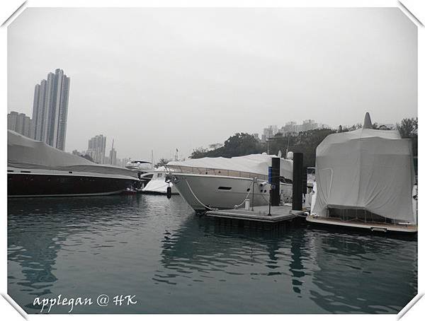 P1241444_副本