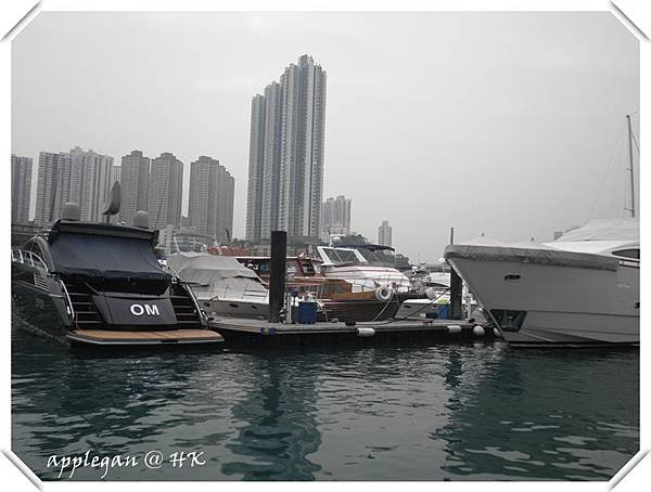 P1241447_副本