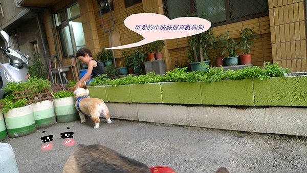 P1010855.JPG