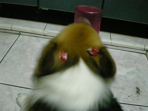 DSCN0896.JPG