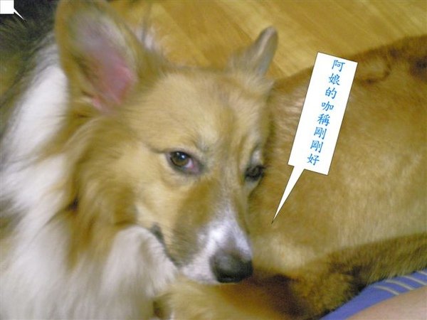 DSCN0899.JPG
