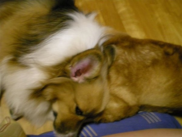 DSCN0905.JPG