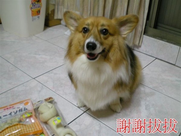 DSCN0923.JPG